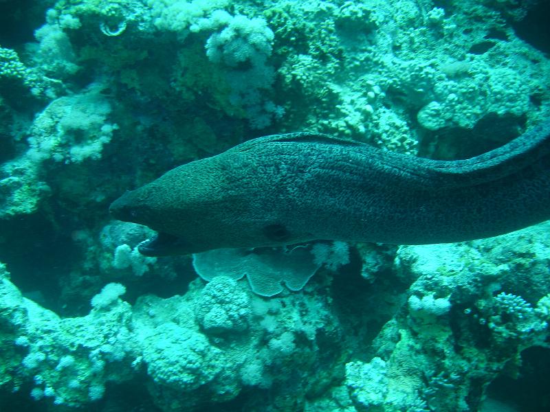 07 EG-01 022.JPG